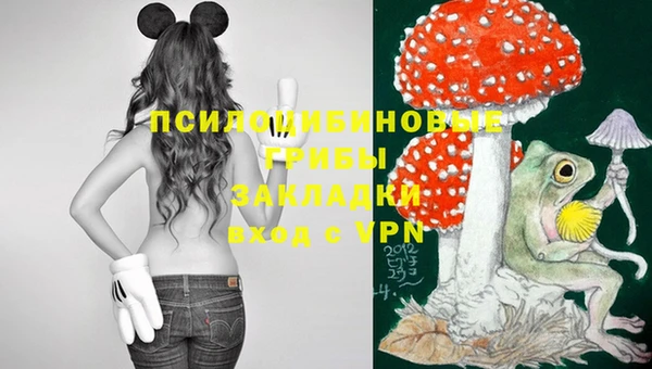 кристаллы Абаза