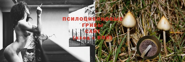 кристаллы Абаза