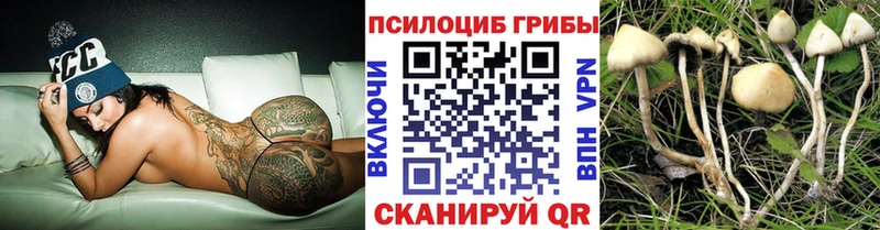 Галлюциногенные грибы MAGIC MUSHROOMS где можно купить Суоярви